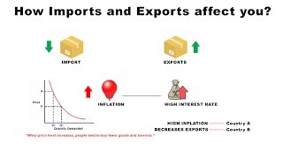 How Imports and Exports Affect You  Economics [upl. by Dabbs]