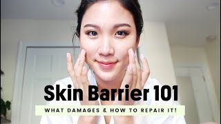 The Cheapest amp Most Effective Skincare  Skin Barrier • How To Repair It [upl. by Eastlake]