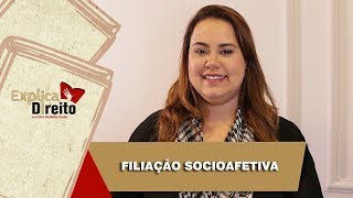 Explica Direito Filiação Socioafetiva  2019 [upl. by Haelak]