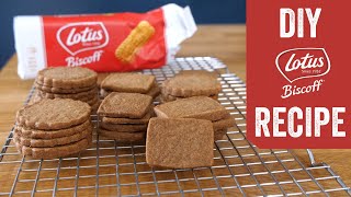 Homemade Biscoff Recipe [upl. by Nomelc382]