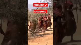 Samburu Culture Songs samburu maasai [upl. by Dnalram]