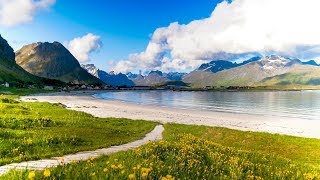 Uplifting Music  light positive happy music Gullrosøya  1 hour [upl. by Josee]