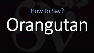 How to Pronounce Orangutan CORRECTLY [upl. by Emanuel221]