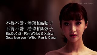 Wilbur Pan  Bu De Bu Ai 不得不爱  Pinyin Lyrics Chinese English LyricLaoshi [upl. by Alled462]