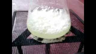 How to make Potassium Chlorate  KClO3  from bleach [upl. by Alberic]