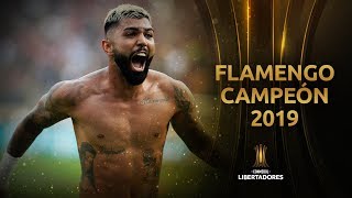 Resumen  Flamengo 2 River 1  FINAL LIBERTADORES 2019 [upl. by Jessamine229]