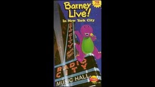 Barney Live in New York City 2000 VHS How it Should Have Been in My Opinion [upl. by Odnalo]