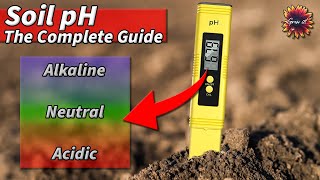 How To Check Soil pH Level  Help Your Plants To Thrive [upl. by Einwahr40]