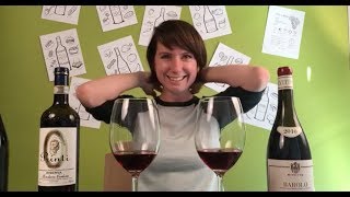 Two Nebbiolo Wines  Barolo vs Roero Riserva [upl. by Dayiz]