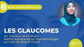 LES GLAUCOMES  Dr Selma MAHMAH [upl. by Ayatahs935]