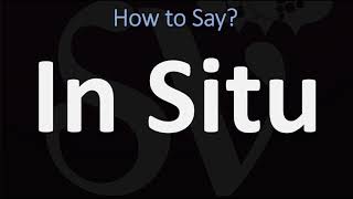 How to Pronounce In Situ CORRECTLY [upl. by Llerrit]