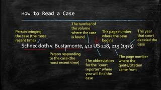 Understanding Case Citations [upl. by Aelegna]