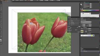 How to Import Images into Adobe Illustrator [upl. by Lamej]