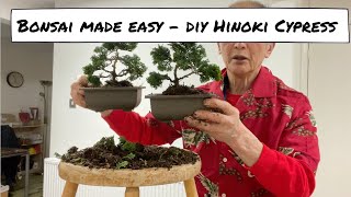 Bonsai Made Easy  DIY Hinoki Cypress [upl. by Lazarus]