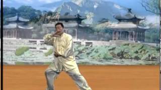 Laojia yi lu complete  Chen Xiaowang  Chen Taijiquan [upl. by Disharoon757]