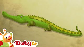 Crocodile 🐊​  Riddle Games With Animals  Animal for Kids BabyTV [upl. by Rew]