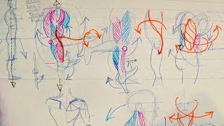 How to Draw Human Anatomy Part 1  Beginner Introduction [upl. by Reidar89]