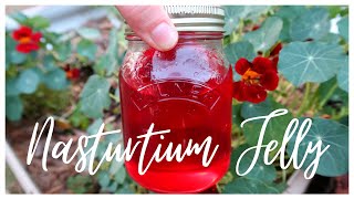 Nasturtium Jelly Recipe  Super Easy Flower Jelly [upl. by Annaes]