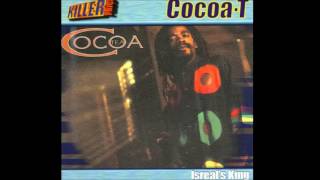 Cocoa Tea  Hurry Up and Come  90s Reggae  Official Audio [upl. by Carnes139]