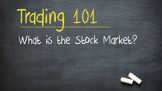 Trading 101 What is the Stock Market [upl. by Nairadas]