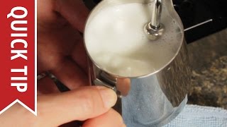 How to AutoFroth Milk for Lattes [upl. by Eussoj]