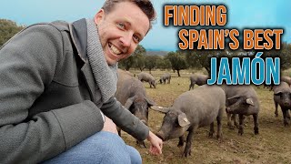 Where Does Spains Best Jamón Come From [upl. by Madalena]