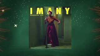 Imany  Wonderful Life Stream Jockey Rework Audio [upl. by Haland]