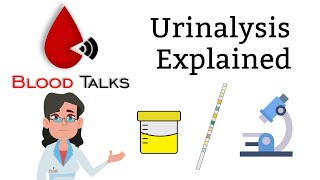 urinalysis explained full  Whats in your urine [upl. by Lannie]