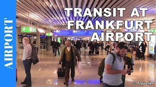 TRANSIT WALK AT FRANKFURT Airport FRA Terminal 1  Connection Flight Transfer Arriving amp Departing [upl. by Kerwin]