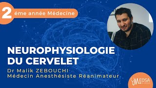 NEUROPHYSIOLOGIE DU CERVELET  Dr Malik ZEBOUCHI [upl. by Mathia347]